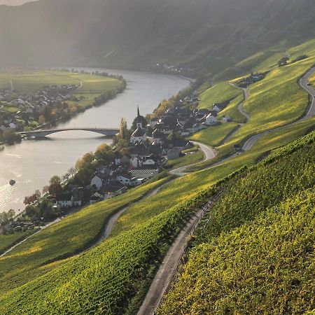 Weingut Lehnert-Spaeter Piesport Exteriér fotografie