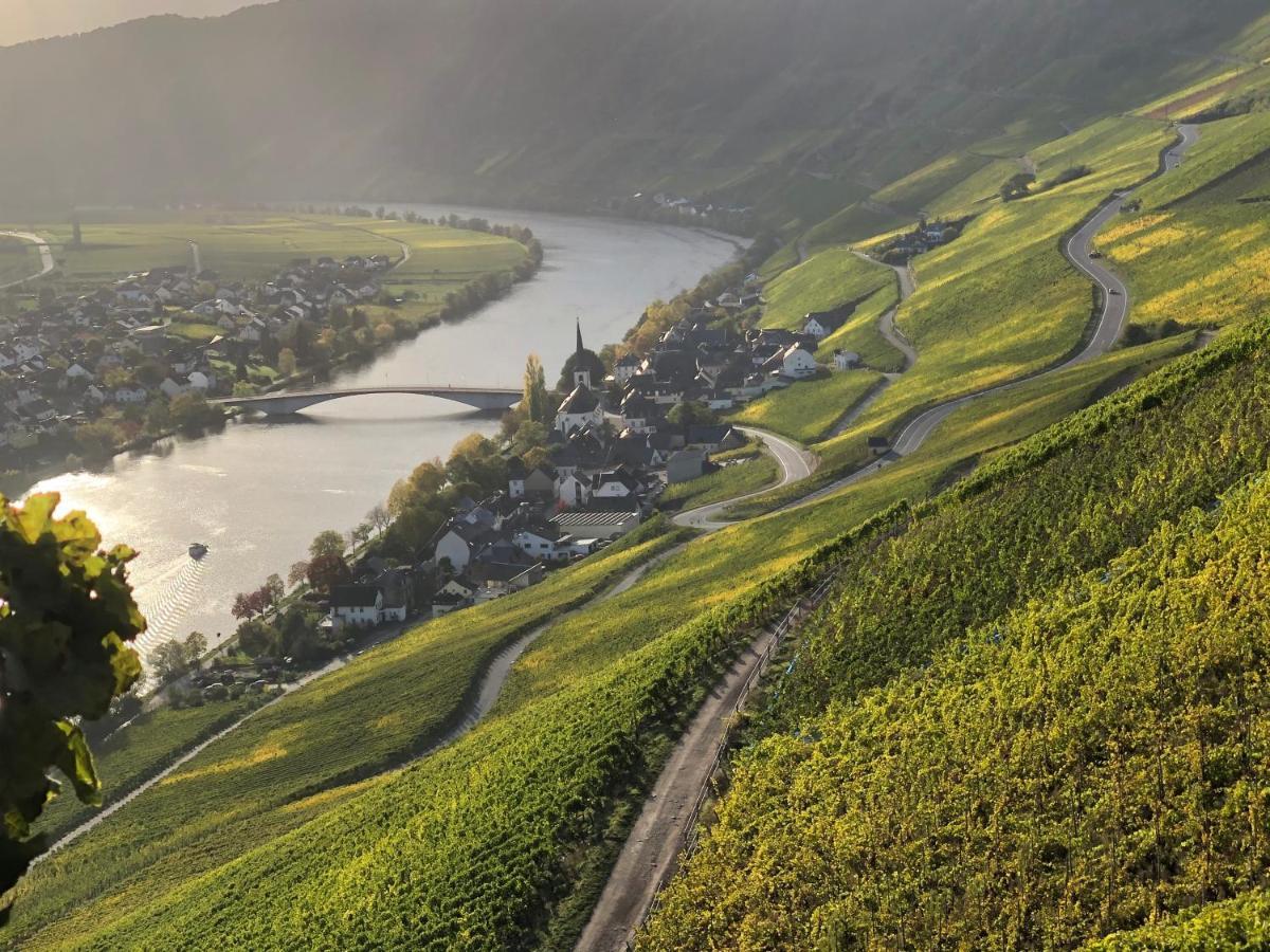 Weingut Lehnert-Spaeter Piesport Exteriér fotografie